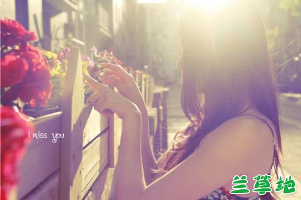 ���� ����,�۵�,����,ƻ��,�ഺ �ִ�ʫ�� 135941mzz5yd88atg5kaok