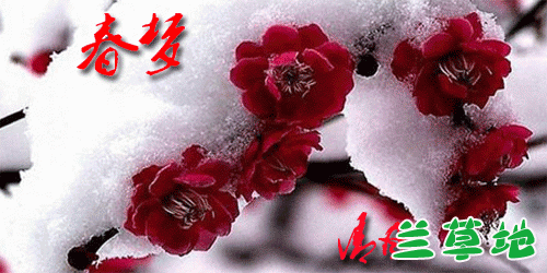 ���� ���� �ִ�ʫ�� 065757mzvnw8nenw6v8ven