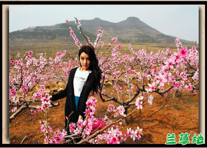 �ȴ����� �ȴ�,���� ɢ����� 074917wddzd5dld4psrqdu