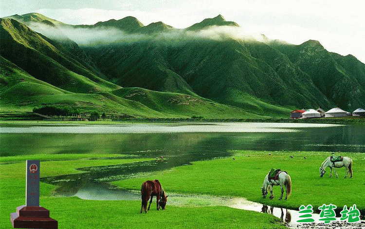 ����ԭ��������֮�������������� ��ԭ,֮��,����,�������� ɢ����� 055607iqxj7fsfoqfljxzf