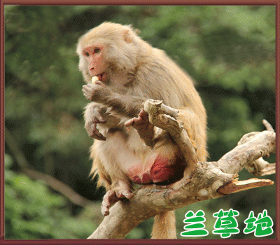 ����˵�� ���� �ִ�ʫ�� 082205ll0j0bz6naaewmbb