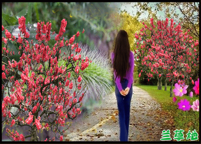 �� �� �� �� �ۺ�ɫ,��˪,����,�λ�,�ξ� ɢ����� 081754otfdp9dzdrqyzzqq