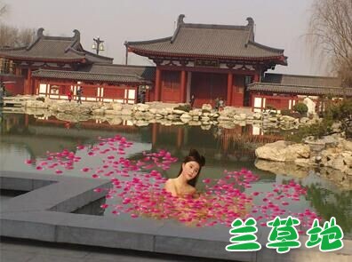 ���������ǡ�ҹ�޻���� ����� ���Ͻ��� 091931jigrkrsuedremdzt