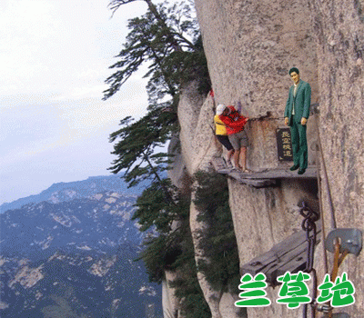 ���������ǡ�������ɽ ������ɽ ���Ͻ��� 073803cm2tmoo177seot1m