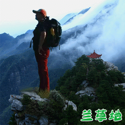 ���������ǡ��¶��������� �¶��������� �ִ�ʫ�� 064309mavtoovat1u0886o