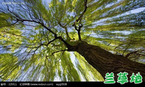 ��  �ִ�ʫ�� 112856y6bogecm7oqjioee