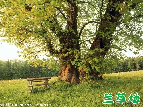 ��  �ִ�ʫ�� 112902b3l6nb6jhpui263c