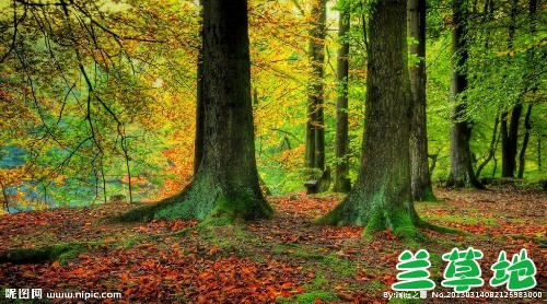 ��  �ִ�ʫ�� 112923h04ej16bpj0qdi6d