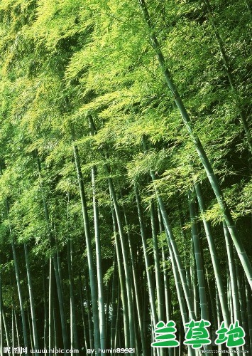 ��ӽ��  �ִ�ʫ�� 162109rdqi3aeivazexjb0