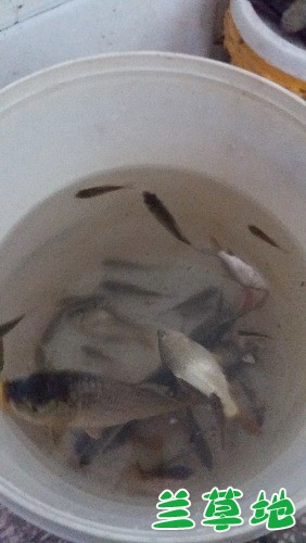 ��Ͱ���㡷  ���Ͻ��� 181731lrwjpuuy1vdnbezm