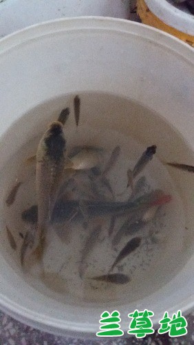 ��Ͱ���㡷  ���Ͻ��� 181740jt9oqncrn1wrac7d