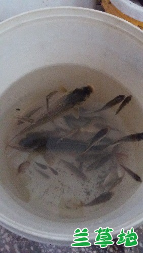 ��Ͱ���㡷  ���Ͻ��� 181749xn5wnymiyo4ezz7t