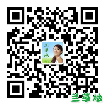 ��վ������΢������ͨ�ˣ��뼰ʱ��ע���ݵ�΢�Ź���ƽ̨ ��վ,����,΢��,��ͨ,��ʱ �������� 225448x17k3z9nkjr1zpna