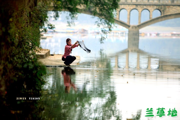 һ���绨ѩ�µ��� �绨ѩ�� ɢ����� 201636w6nz0vevhjhj7cqh