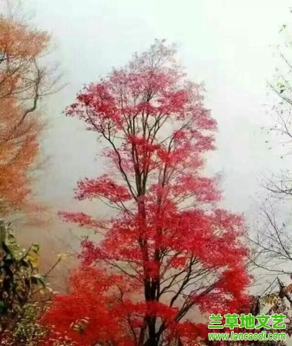 ��  ���Ͻ��� 200618j22682bpz28dbpbx