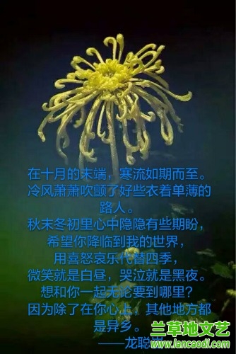 ����˼  ���Ͻ��� 052730zylqxvd0x4i0rvp1