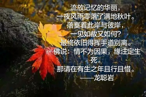 ����˼  ���Ͻ��� 052738x0crrrq0uepvner0