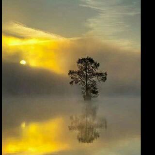 һĨ�¹�����̣�NJ/������� һĨ,�¹�,����,��� ������ѧ 094315d0fj16lbt6ztwkmt