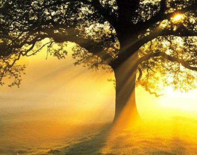 ����֮���--�������ã���������(NJ/����) ��������,��������,���� ������ѧ 165523nvs99ze4km699un9