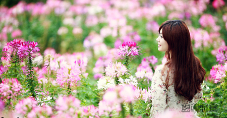 �������NJ/������� �� ����,����,��� ������ѧ 220904fx43r6m6g0406bzc