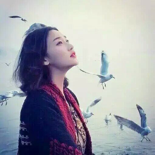 �������ԣ����������������� ����,����,������,����������,�������� ������ѧ 185538l2mwcc565ckds50c