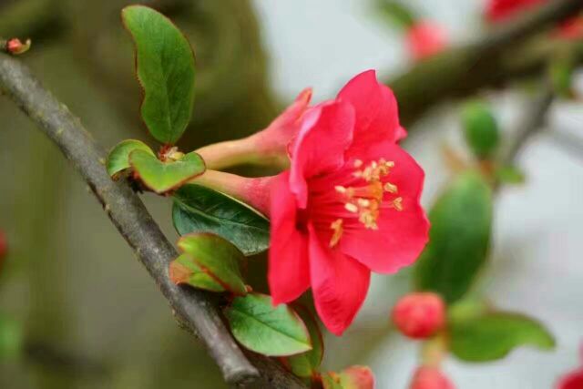 �����ֲ���ʵ��������һ������ �����ֲ�,��ʵ,����,һ������ ������ѧ 105247ybdeb8fns5f5amxi