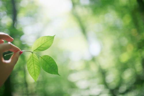 ���ռ��� ����,���� ɢ����� 163034qr707mmvrfw4f7o0