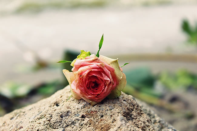 ��ϧ ��ϧ �ִ�ʫ�� 163409zxs1f09uhe0f01e7