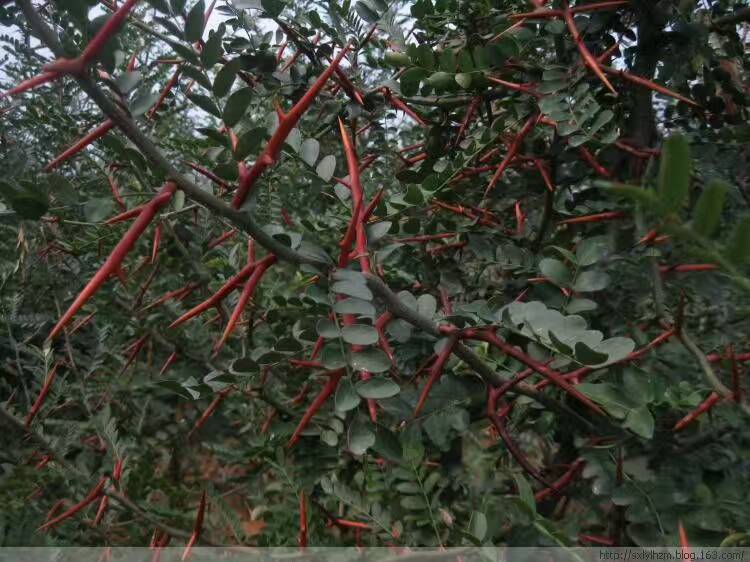 ������������������� ����,����,������ ������ѧ 100340j1bqmcj5bclq5mlm