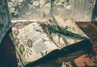 ������������Ƿſ����� ����,����,�ſ� ������ѧ 062935uu1zfu11mues2feu