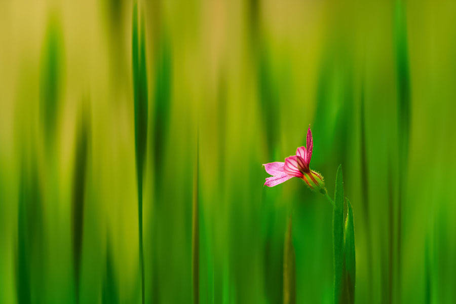 ������ӡ�� ����,ӡ�� ������ѧ 183255a37lxzj4xl9zsqa6