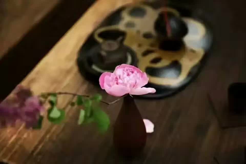 ����Ŀ�������˻ع� ����,����,�ع� �ִ�ʫ�� 200351ufufrjntjhrrpnfk