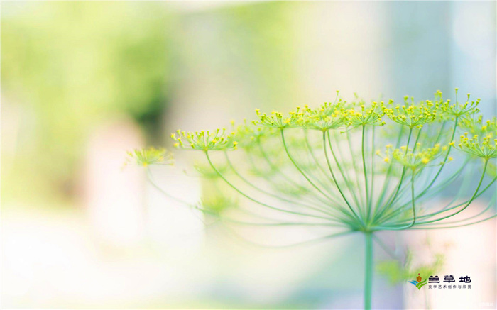 ���е��������붼���������ǰ��һ�� ���е�,����,����,��ǰ,һ�� ɢ����� 210410b20psbe7o5ybb5sc