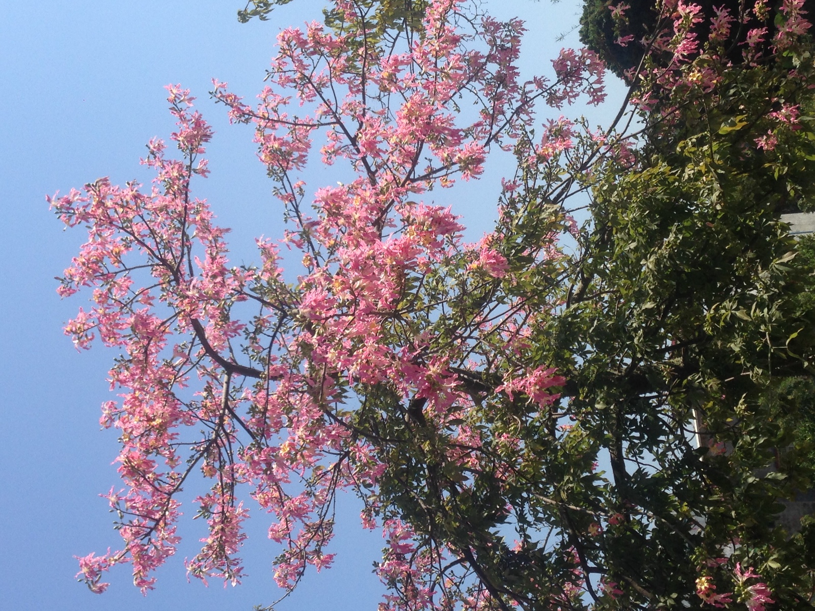 ����  �ִ�ʫ�� 055040jflc6lav4fjlun4w