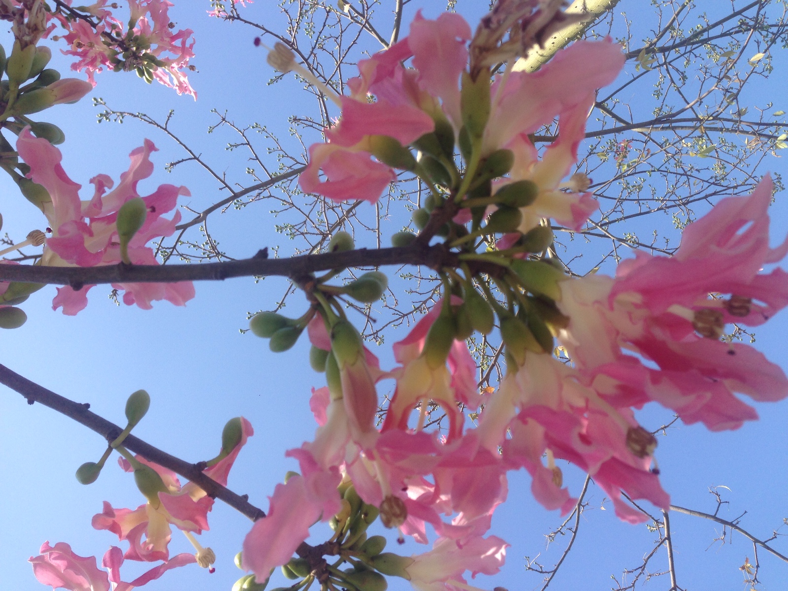 ����  �ִ�ʫ�� 055041tgn11iah3g3whhbm