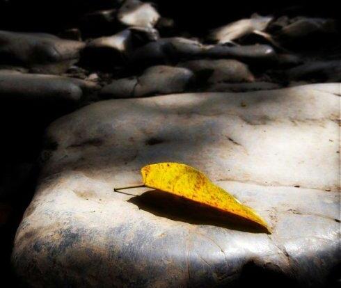 ����� ����� �ִ�ʫ�� 170311e8kz1fax22gc13xk