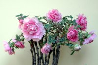   ɢ����� 225054ow171173qw611527