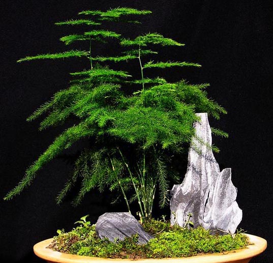 �� ��ʫ  ���Ͻ��� 213252wmuipii5d7p2xpza