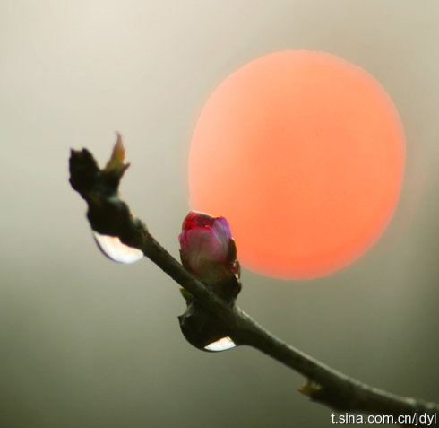 ���� ���� �ִ�ʫ�� 203538o2eosb34ssm11d9p