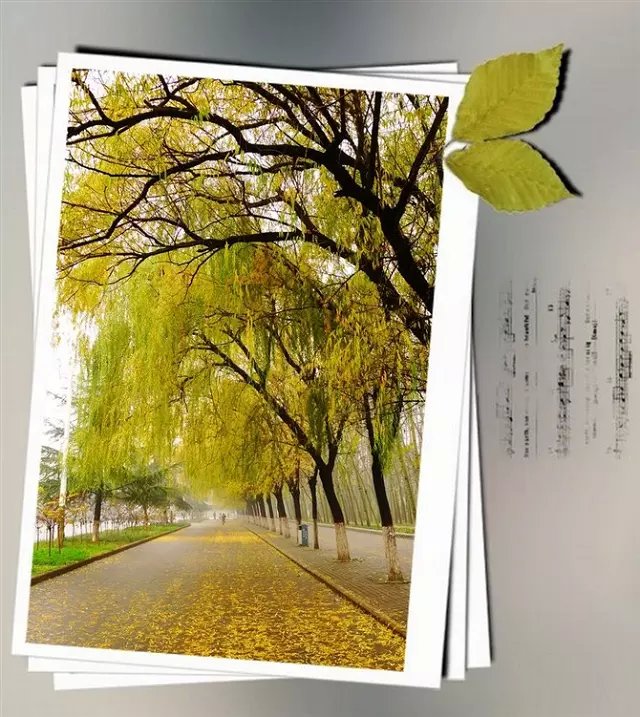 ʹ����Ϊ�˸��õľ��� Ϊ��,����,���� ɢ����� 212905kx728b01vcbhirar