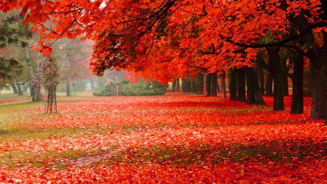 ��īʫ�⣬�����延 �� ��ī,ʫ��,���� ɢ����� 152540n9yc9ro999umf9oq