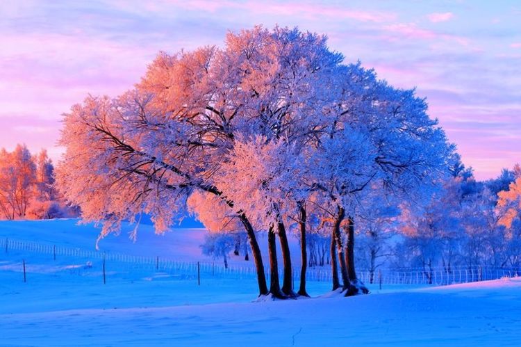 �������� �������� ɢ����� 093321vvs7d1d735o583o1