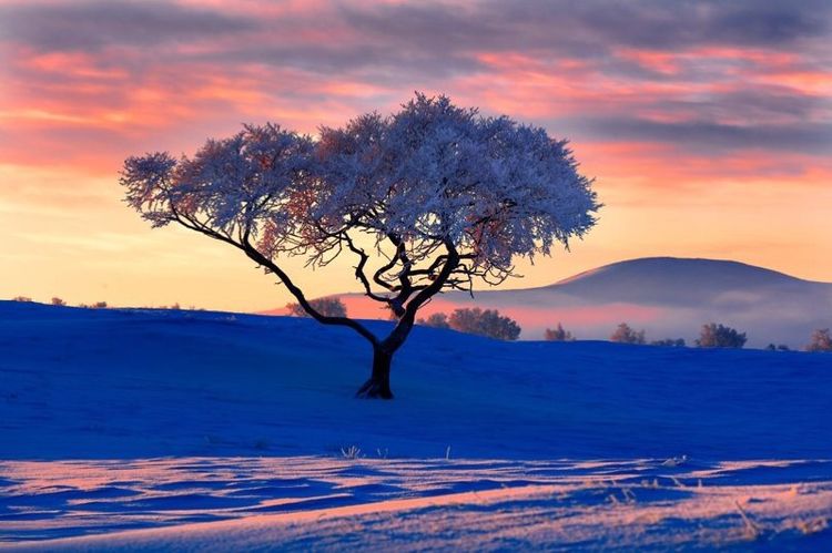 �������� �������� ɢ����� 093322ak7ont97b0gfjgzs