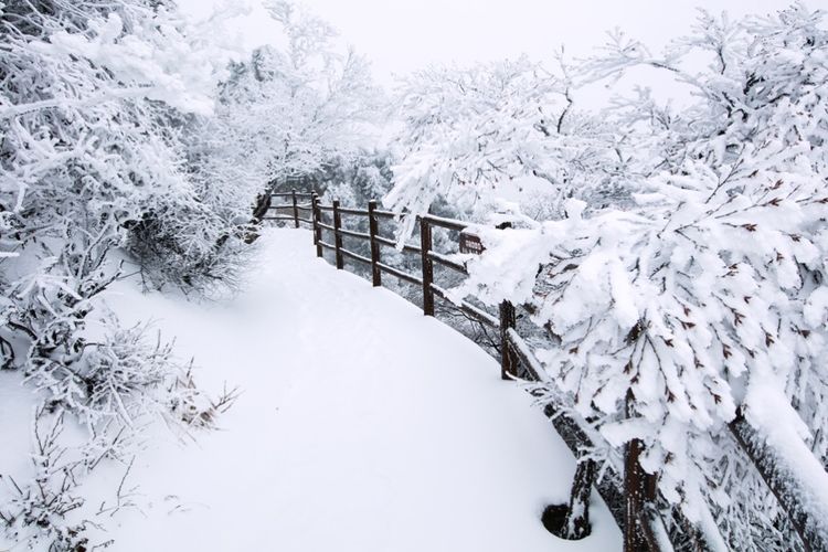 �������� �������� ɢ����� 093323fdx3dx75uxxbzxcc