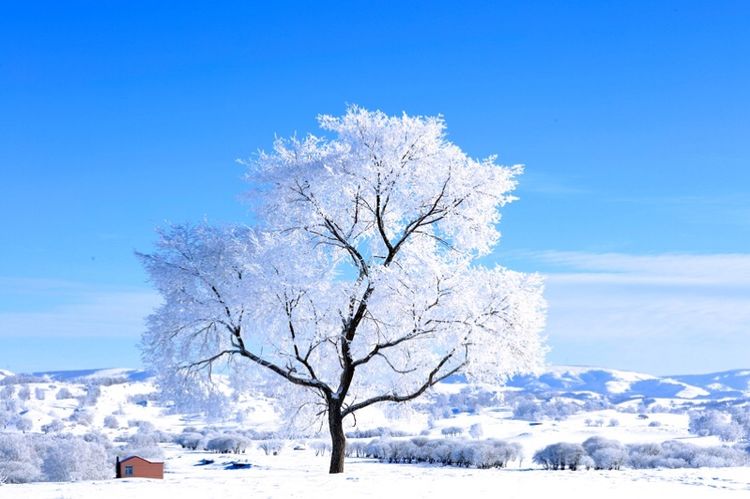 �������� �������� ɢ����� 093323r5ebcccy22ippel5