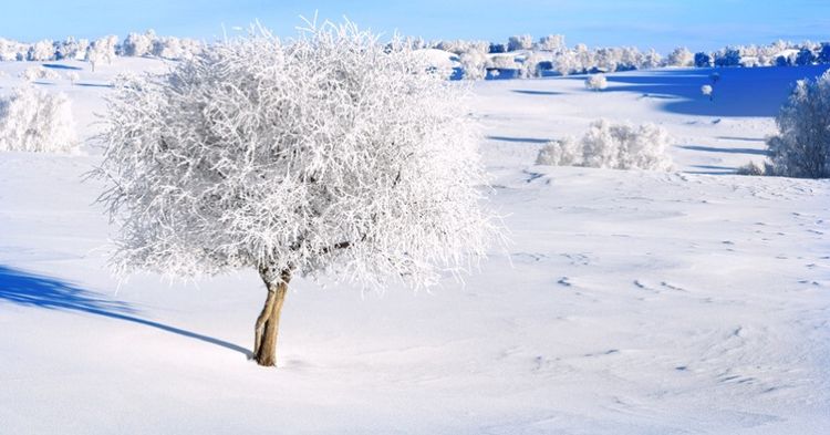 �������� �������� ɢ����� 093324qrbpjm8smshkutzs