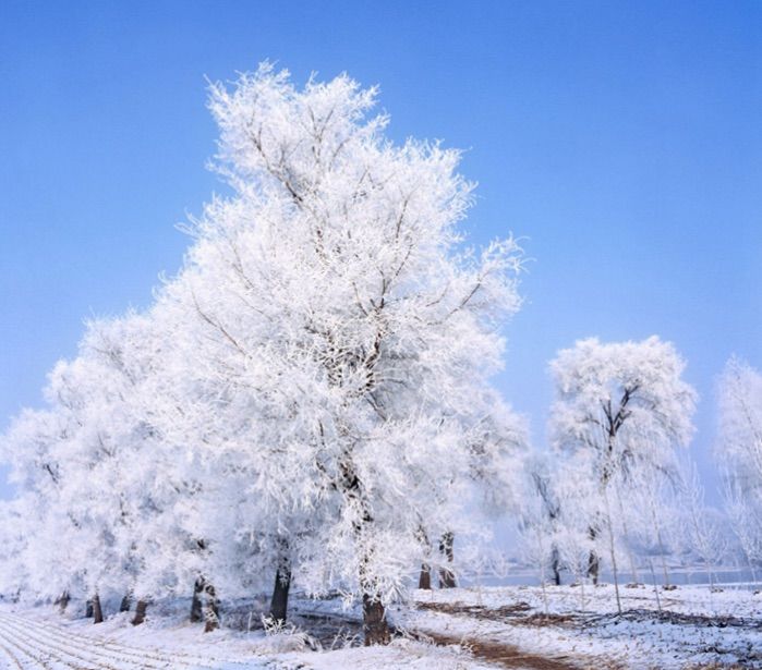 �������� �������� ɢ����� 093324s7n7n77rw2ywdyn7