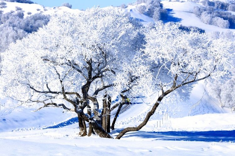 �������� �������� ɢ����� 093325ohisc0z88ppm8ptp