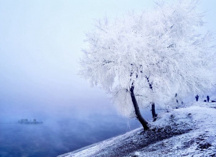 �������� �������� ɢ����� 093325yxah7h8qlwlhzlil