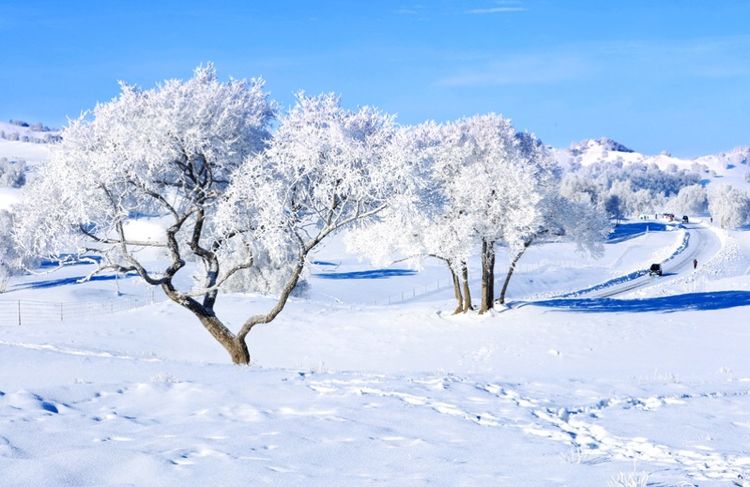 �������� �������� ɢ����� 093326bfjm5ff6xj6c2ftf